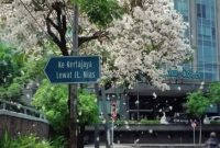 Bunga Sakura ala Surabaya, 7 Tempat Wisata ini Cocok Menamanimu Liburan Akhir Tahun 2018