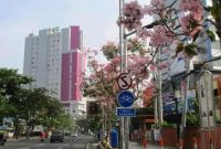 Bunga Sakura ala Surabaya, 7 Tempat Wisata ini Cocok Menamanimu Liburan Akhir Tahun 2018 portal raja