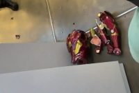 Action Figure Iron Man Seharga 33 Juta Pecah Tak Sengaja
